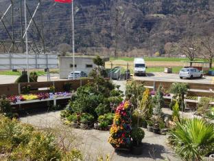 Mottiez fleurs et paysages - Pose de structures en bois (barrière, cabanon, pergola)