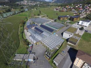 Mottiez fleurs et paysages - Historique