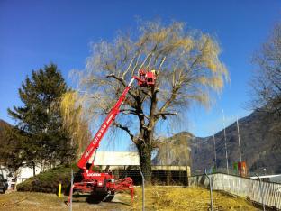 Mottiez fleurs et paysages - Elagage des arbres, bûcheronnage, élimination des déchets