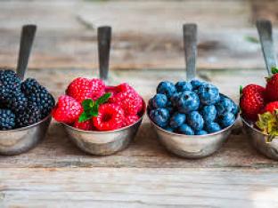 Mottiez fleurs et paysages - Petits fruits