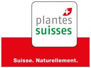 Mottiez fleurs et paysages -     Jardin Suisse 