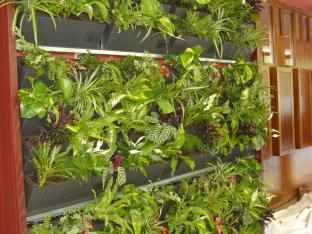 Mottiez fleurs et paysages - Mur végétal