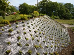 Mottiez fleurs et paysages - Aménagements extérieurs