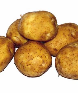 Mottiez fleurs et paysages - Pomme de terre