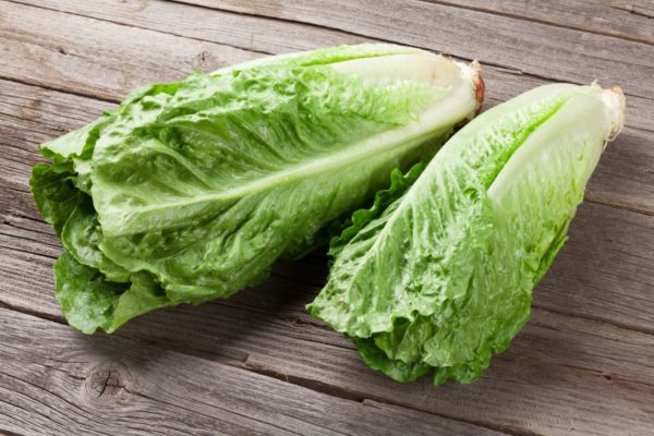 Salade croquante verte