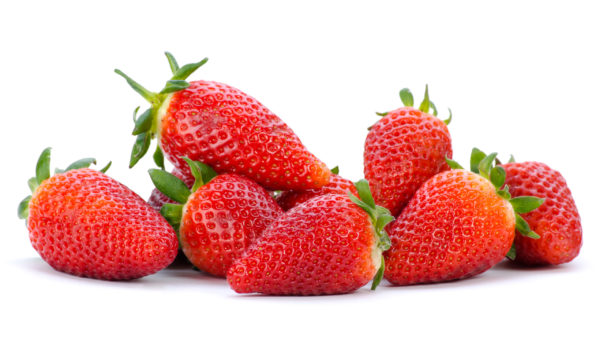 Fraise Clery