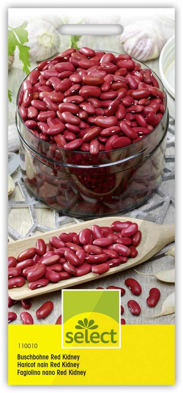 Haricot nain 'Red Kidney' – Image 3