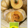 Courge Baby Bear – Image 3