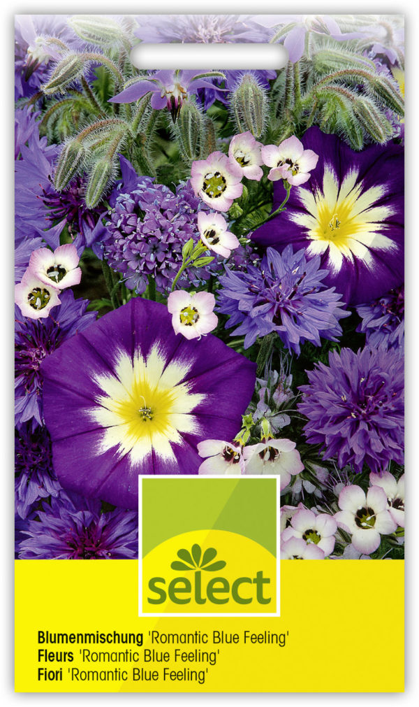 Fleurs 'Romantic Blue Feeling'