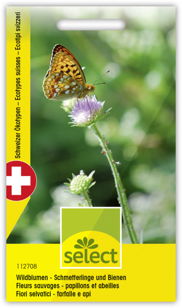 Fleurs sauvages - papillons et abeilles