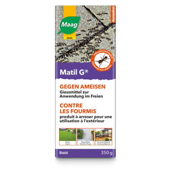 Matil G anti-fourmis