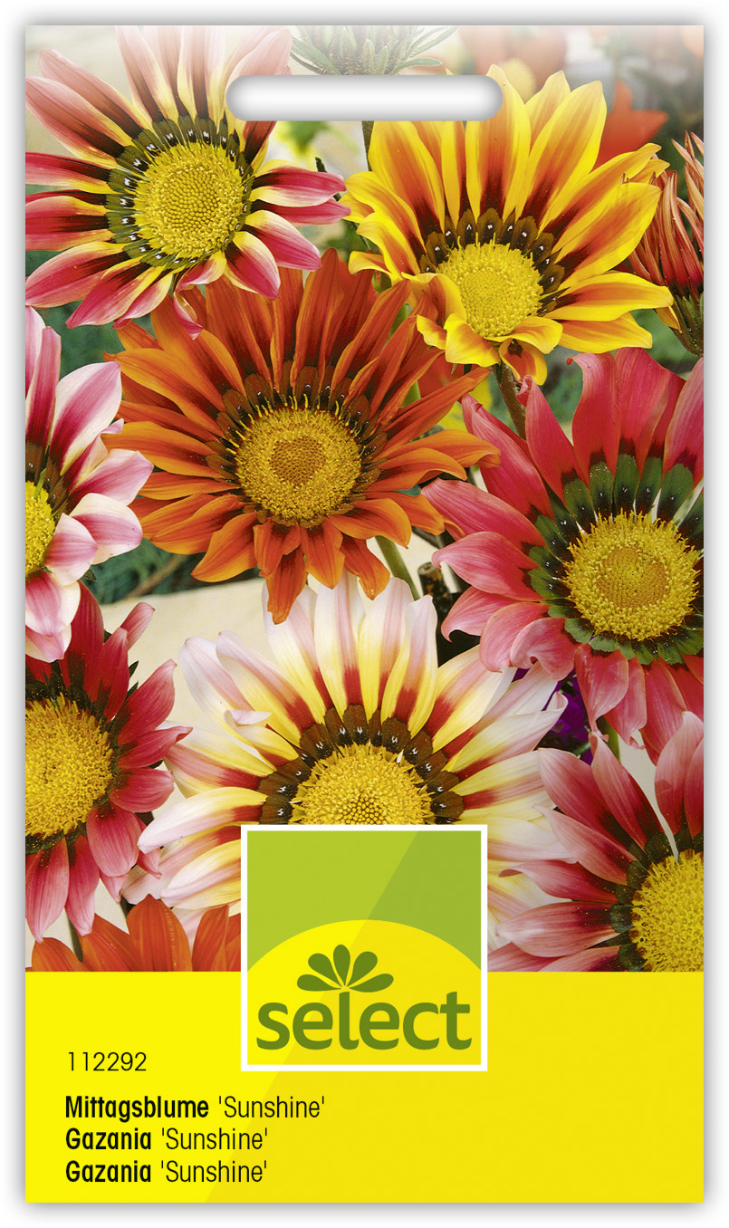 Gazania 'Sunshine'mélange