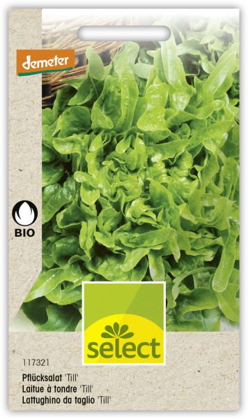 Bio VK Demeter Laitue à tondre Till