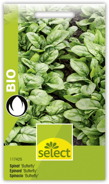 Bio VK Epinard 'Butterfly'