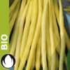 Bio VK Haricot nain 'Cresco'