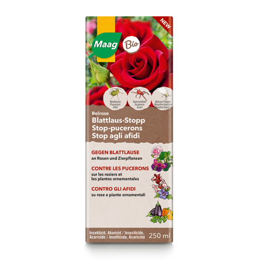 Belrose contre les pucerons