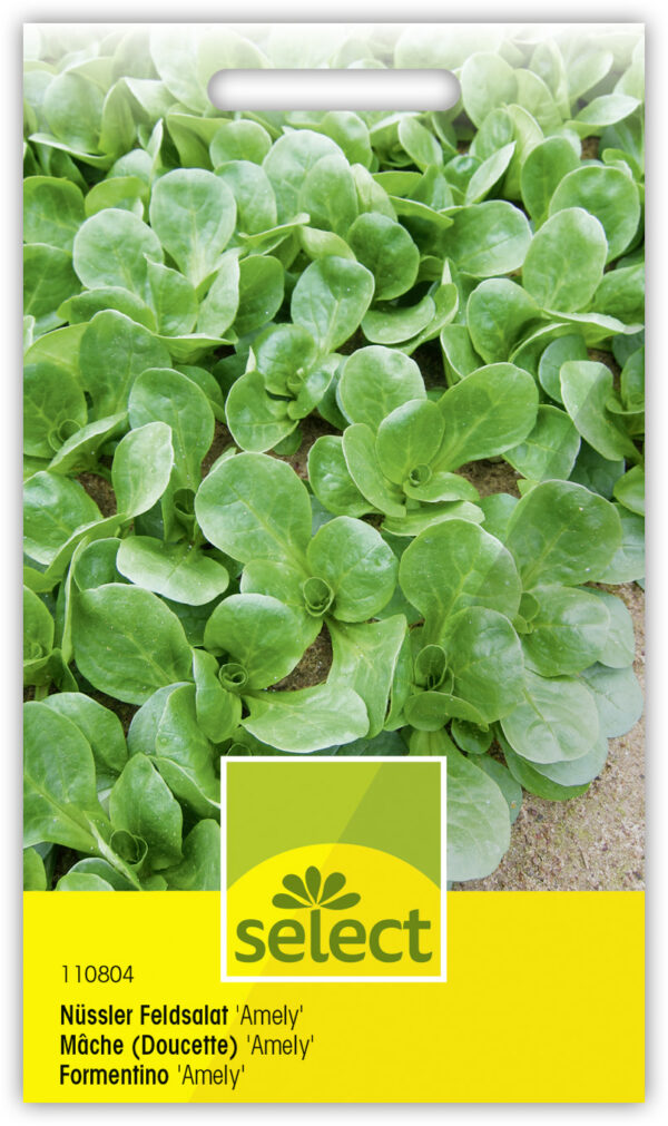 Mâche 'Amely'