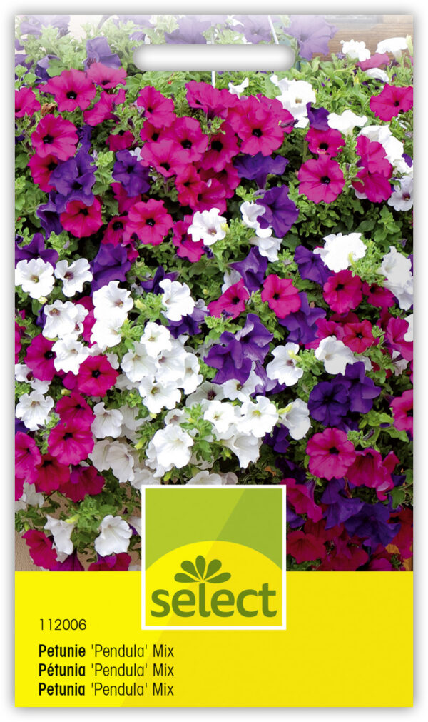 Pétunia 'Pendula mix'