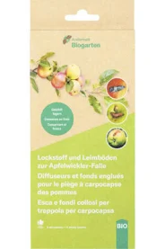 Appat pour piège à carpocapses des pommes