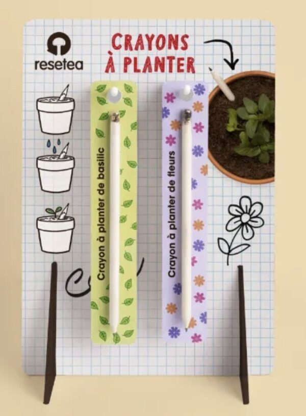 Crayon à planter de fleurs ou basilic
