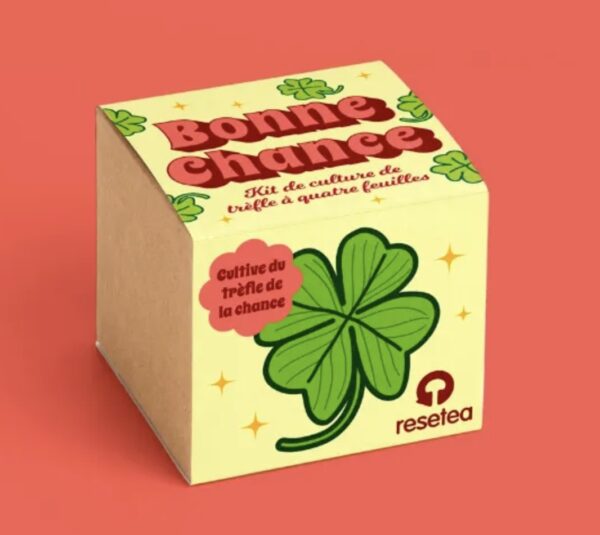 Bonne chance - Kit de culture de trèfle à quatre feuilles