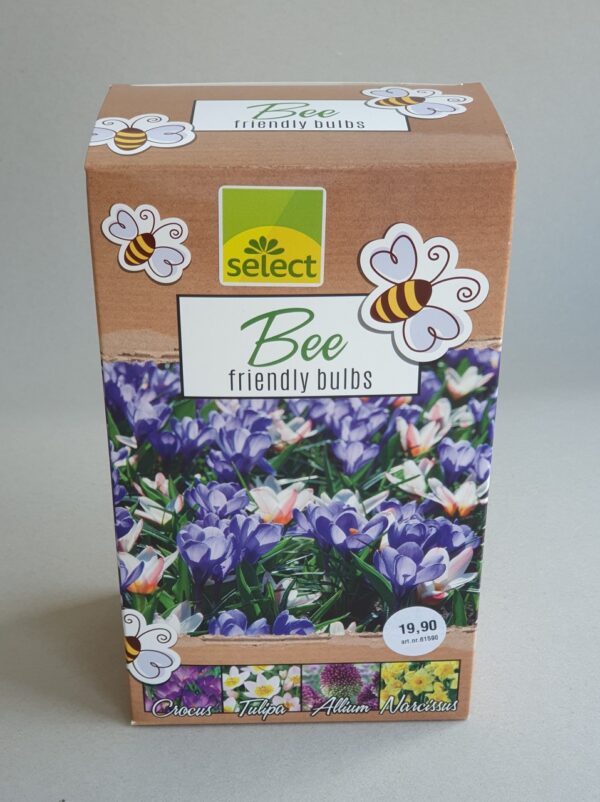 Coffret de bulbes mélange pour abeilles