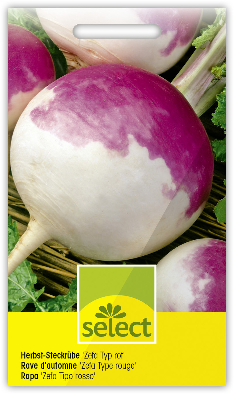 Rave d'automne 'Zefa Type rouge'